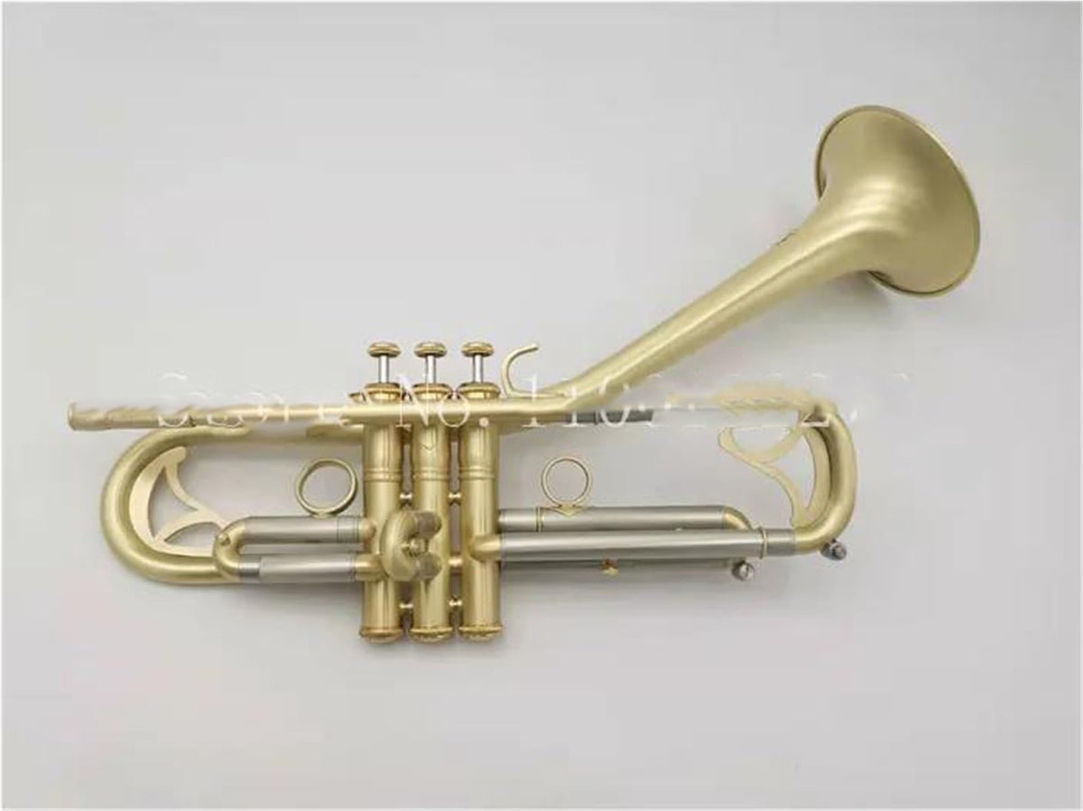 Bb Trumpet with Case and Mouthpiece V217484