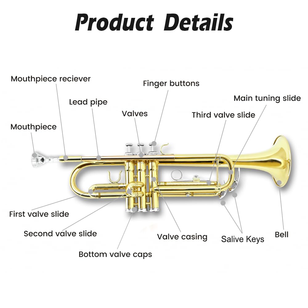 Standard Trumpet Set with Carrying Case 7C Mouthpiece Brass Q69380