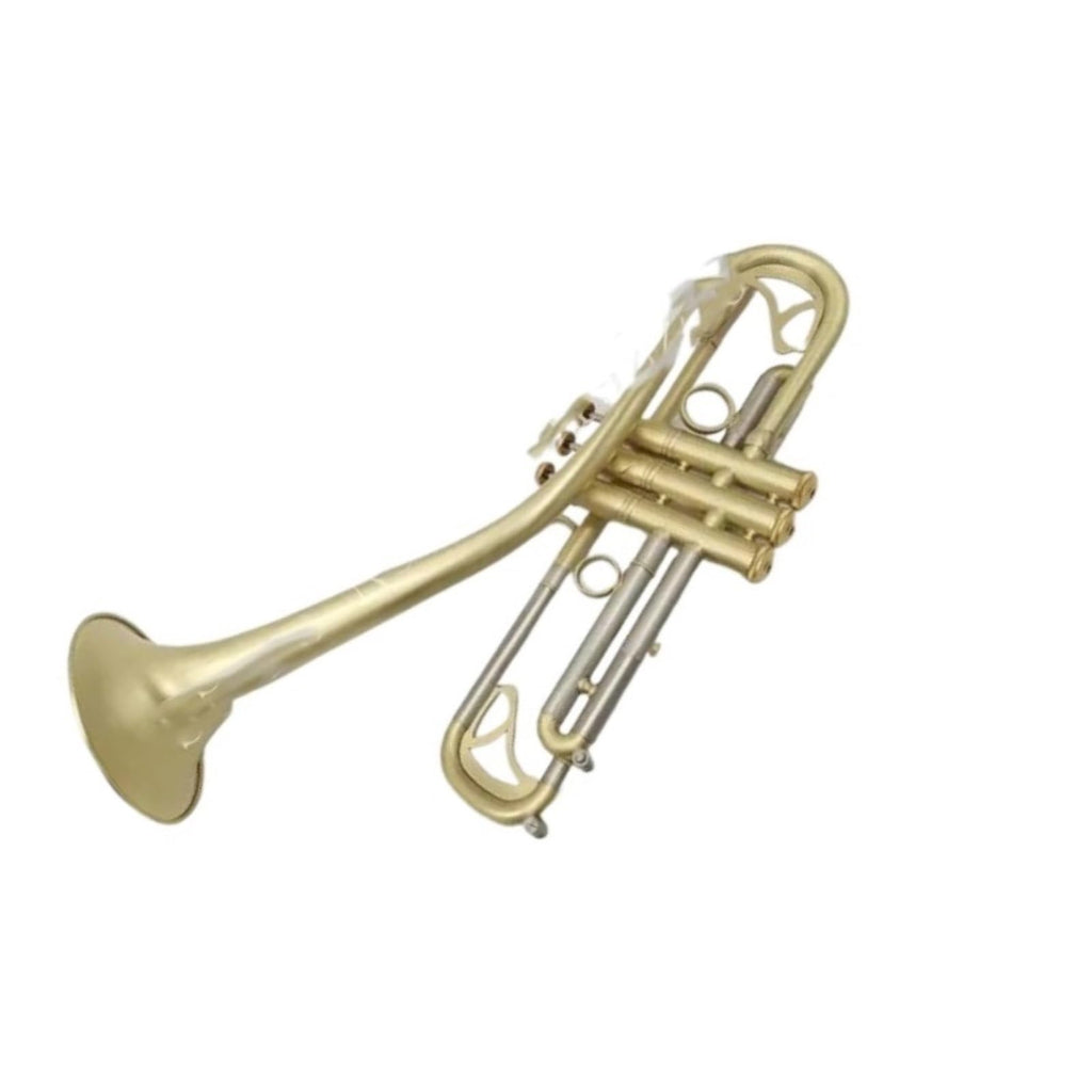 Bb Trumpet with Case and Mouthpiece V217484