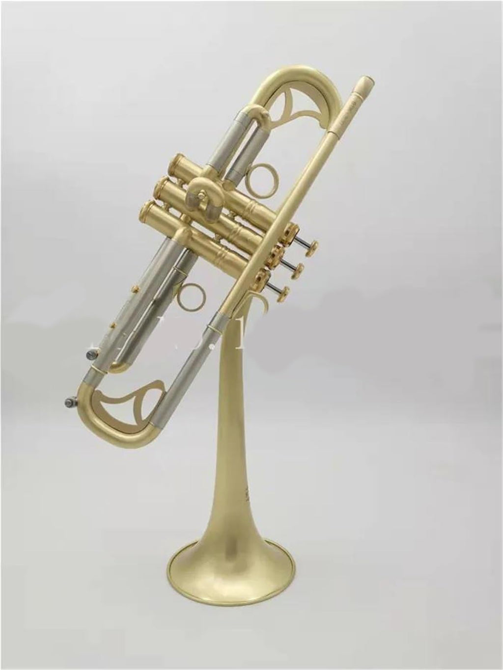 Bb Trumpet with Case and Mouthpiece V217484
