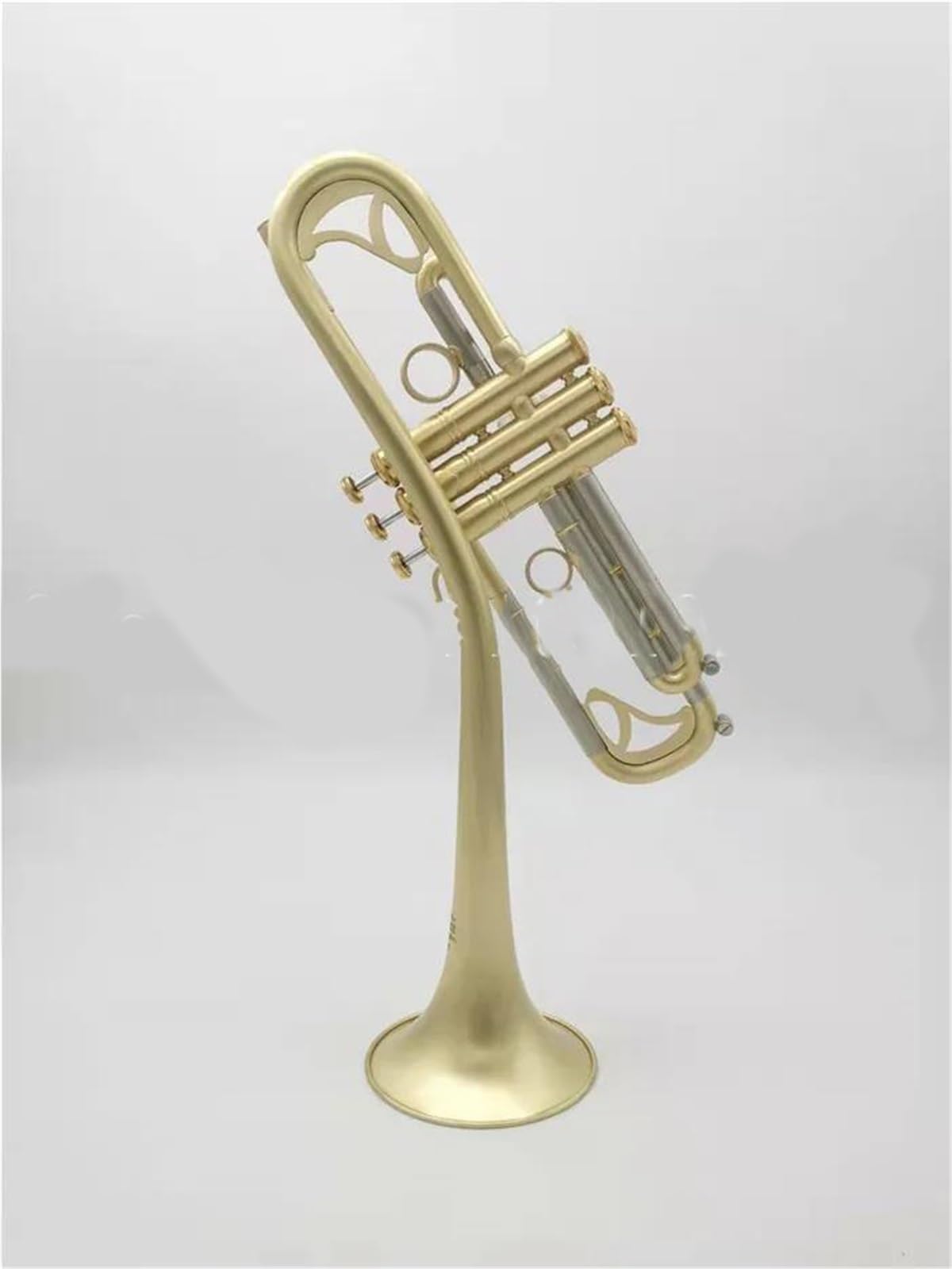 Bb Trumpet with Case and Mouthpiece V217484