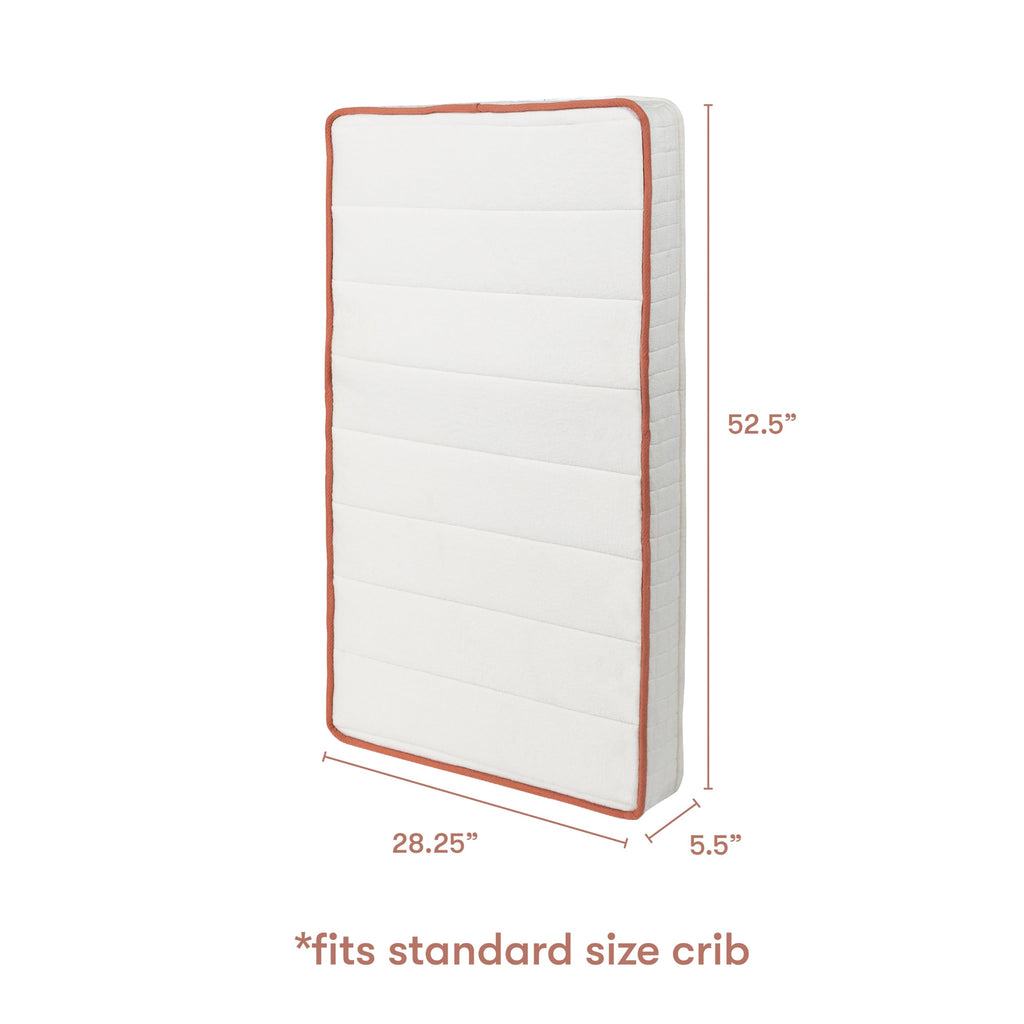 Organic Crib Mattress V580