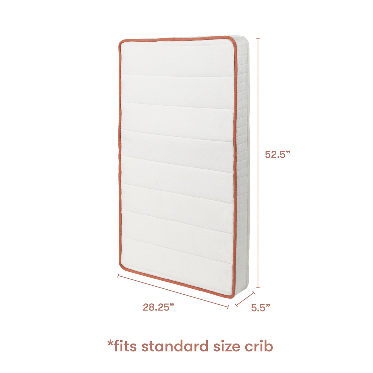 Organic Crib Mattress V580
