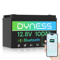 12V 100Ah LiFePO4 Lithium Battery X17275