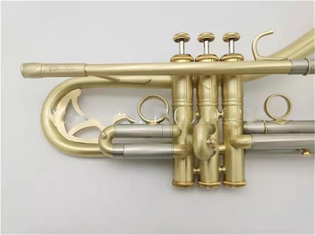 Bb Trumpet with Case and Mouthpiece V217484