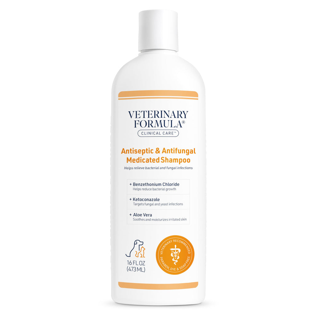 Antiseptic & Antifungal Shampoo, 16 oz T331768