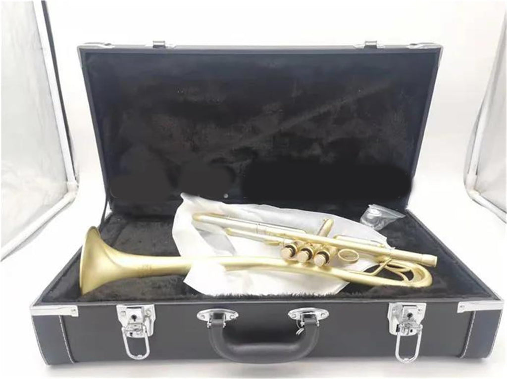 Bb Trumpet with Case and Mouthpiece V217484