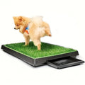 25" X 20" Dog Grass Pad with Tray Q986817
