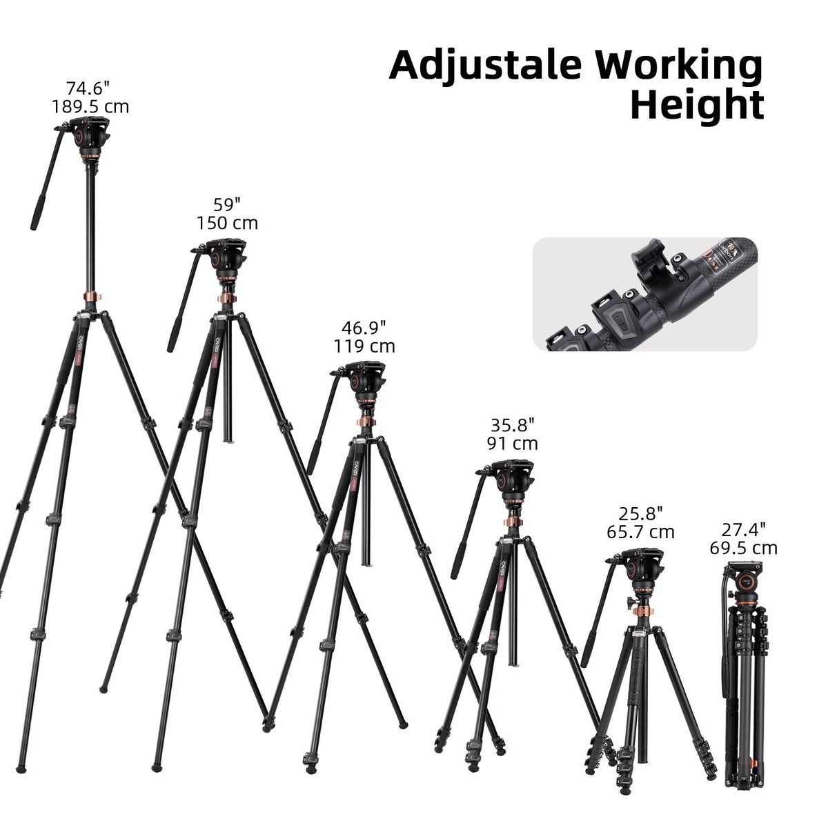 Carbon Fiber 4-Section Tripod M801067