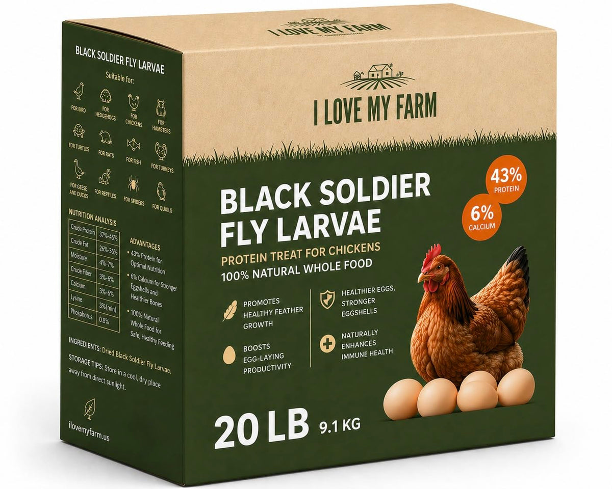 Dried Black Soldier Fly Larvae Chicken Treat O1036