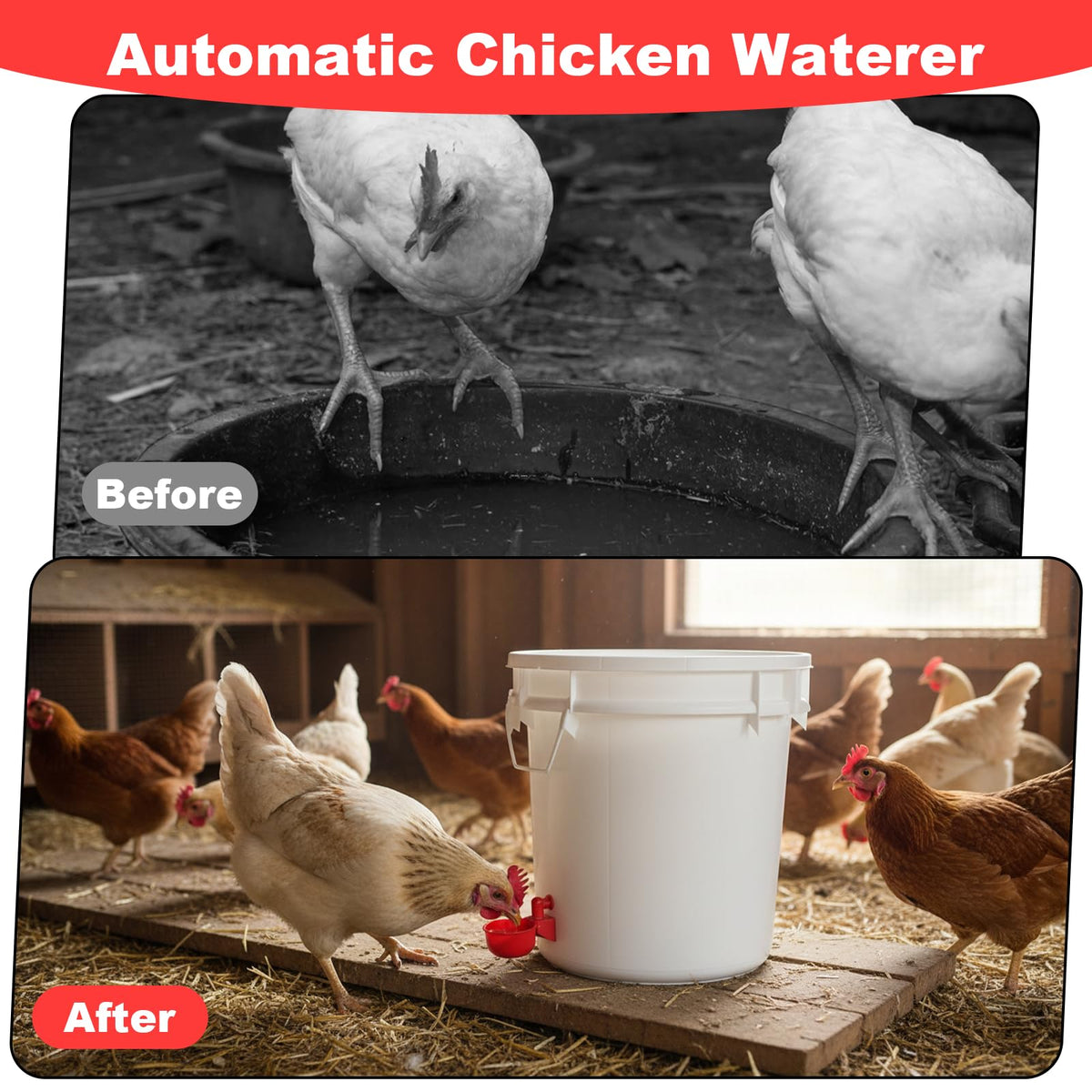 Automatic Chicken Waterer Cups 24-Pack Poultry Drinker with Hole Saw H103