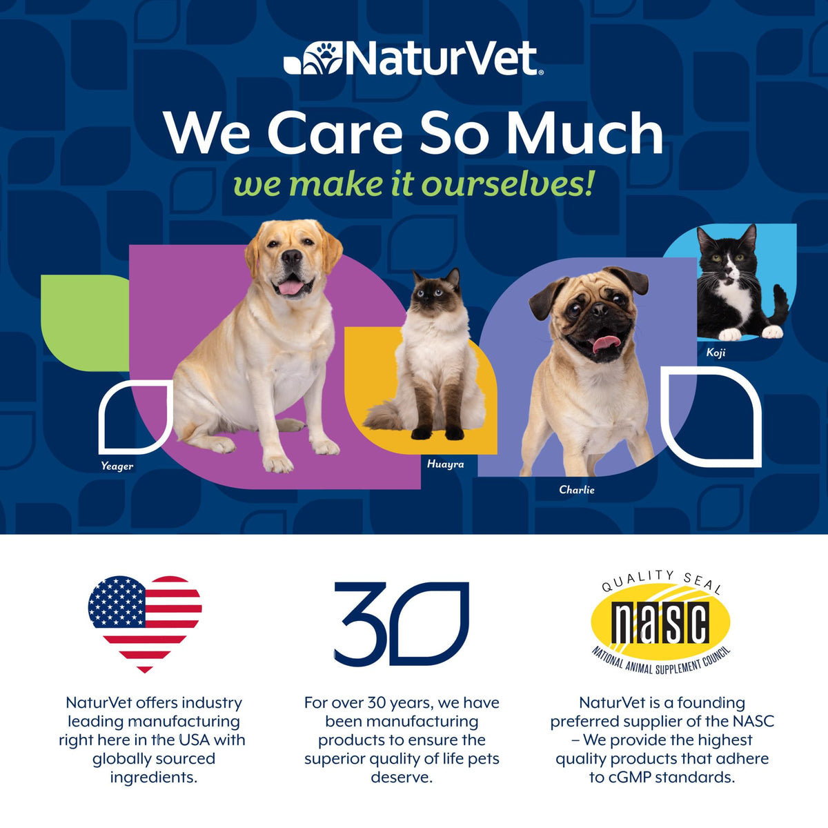 Hairball Aid Supplement for Cats Soft Chews W587547
