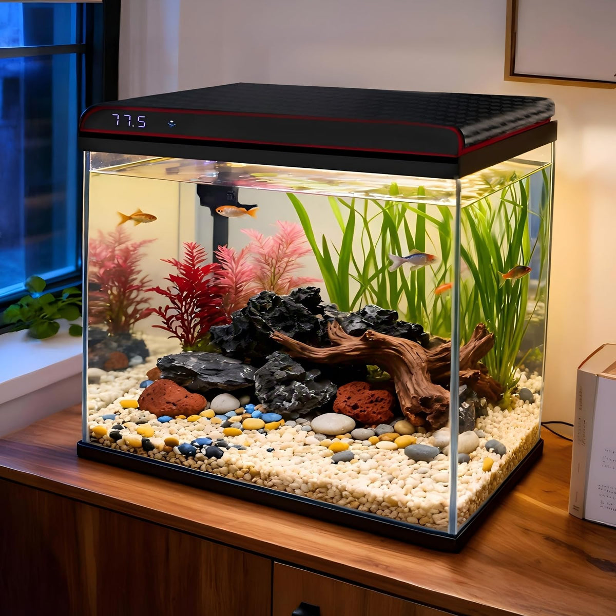 10 Gallon Glass Fish Tank Aquarium Starter Kit Z961620
