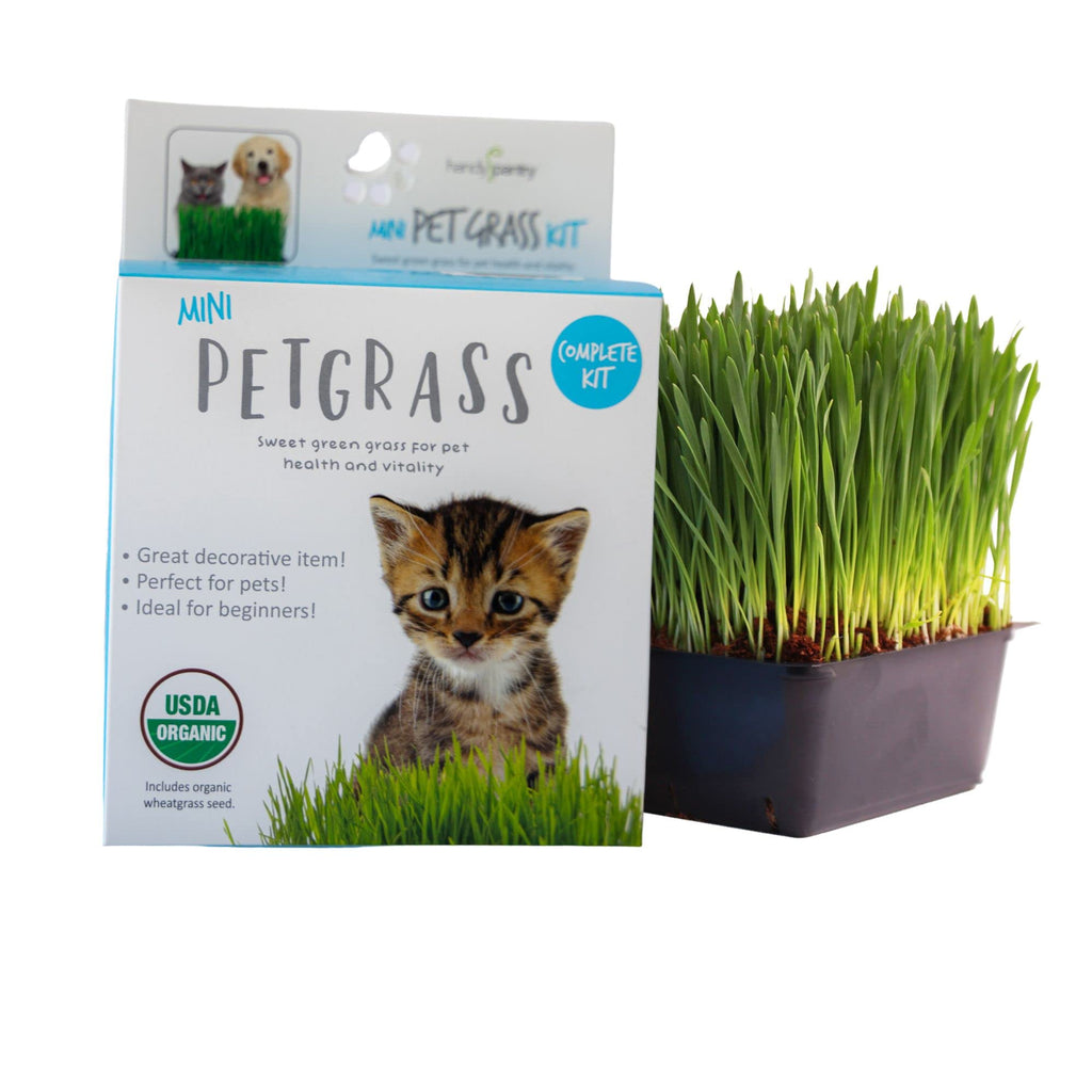 Organic Cat Grass Kit with Tray and Wheatgrass Seed U101