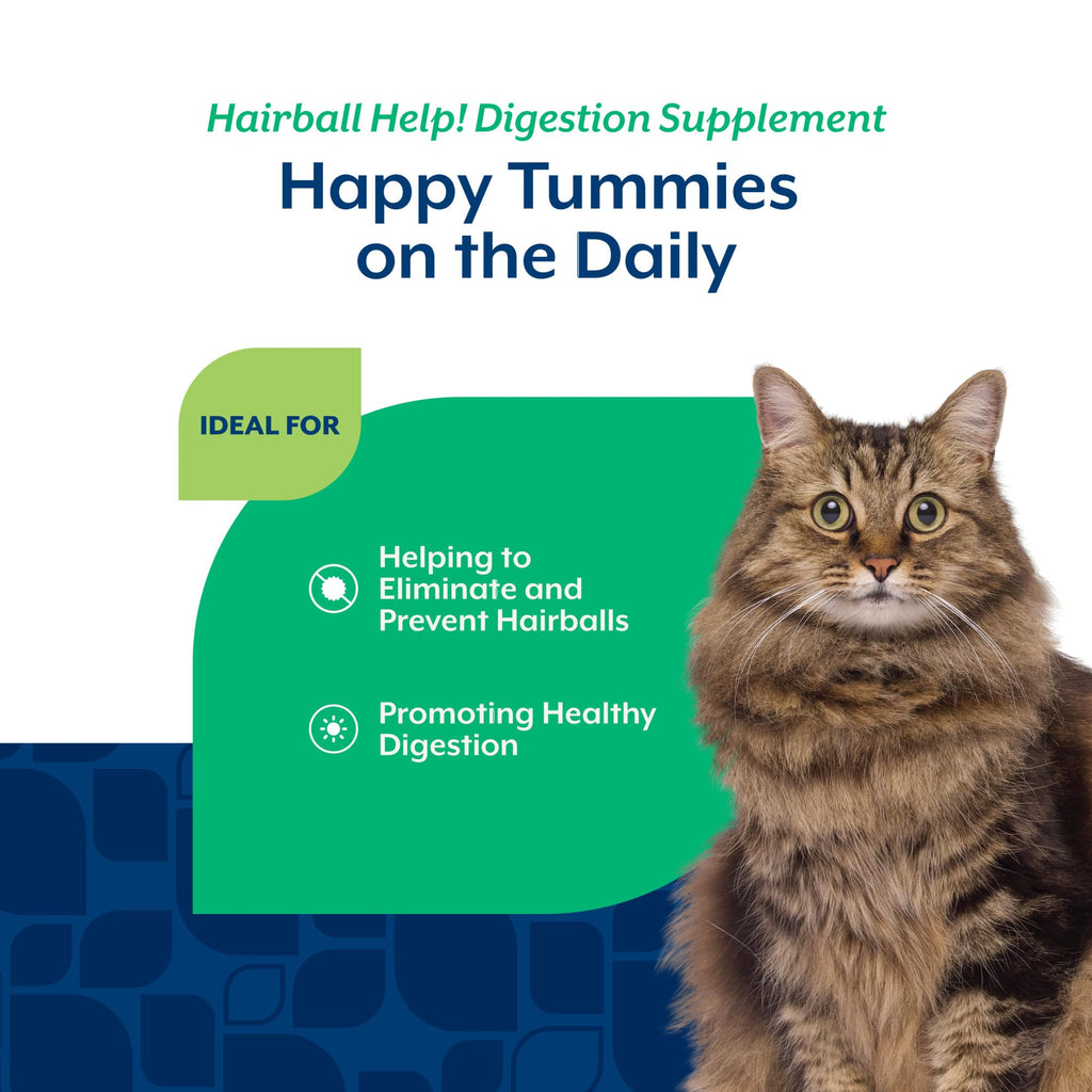 Hairball Aid Supplement for Cats Soft Chews W587547