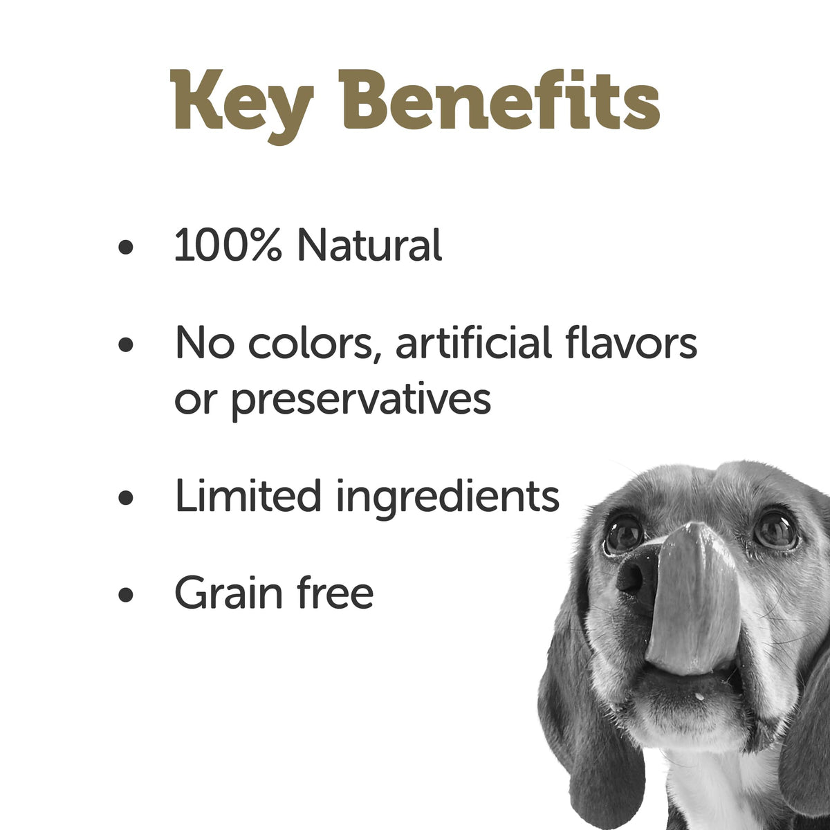 Chicken Bone Broth Dog Food Topper 6-Pack 7.1oz Pouch M1740