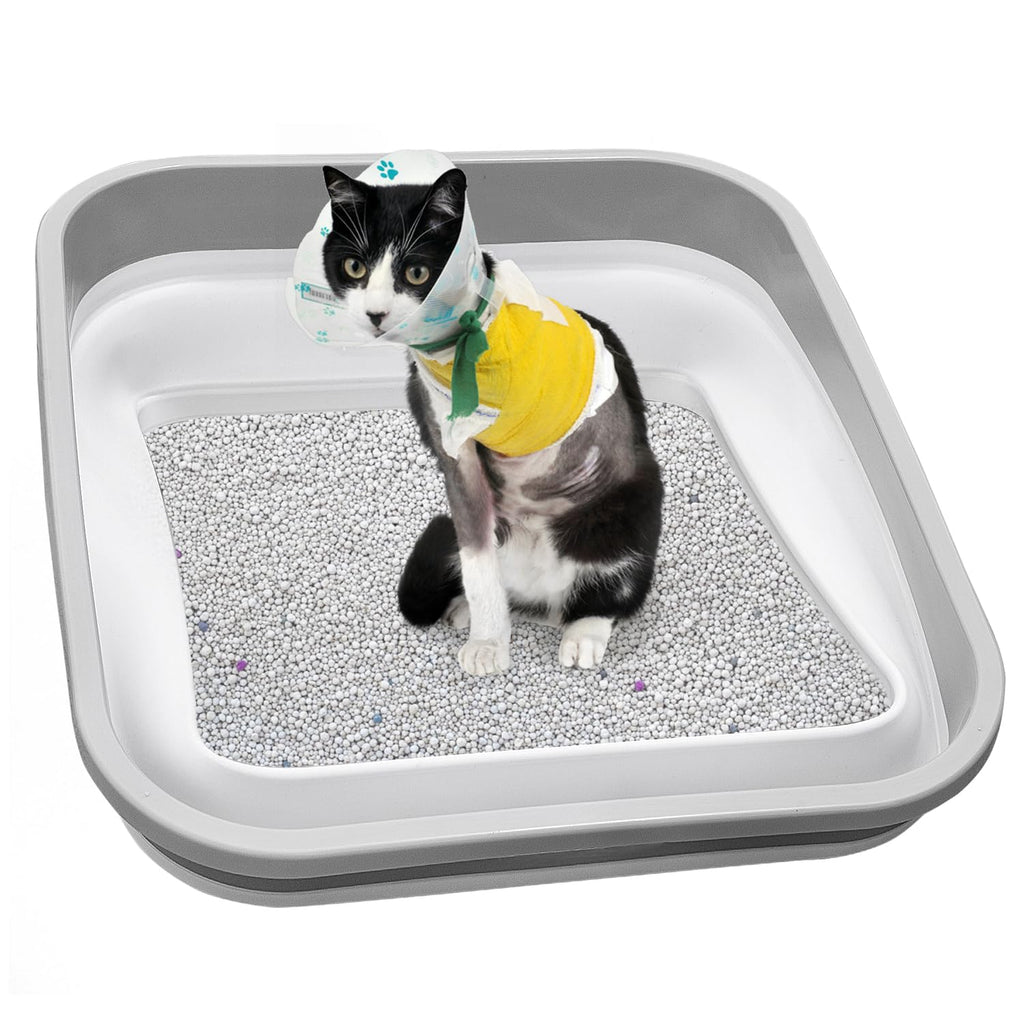 Collapsible Open Cat Litter Box L26434