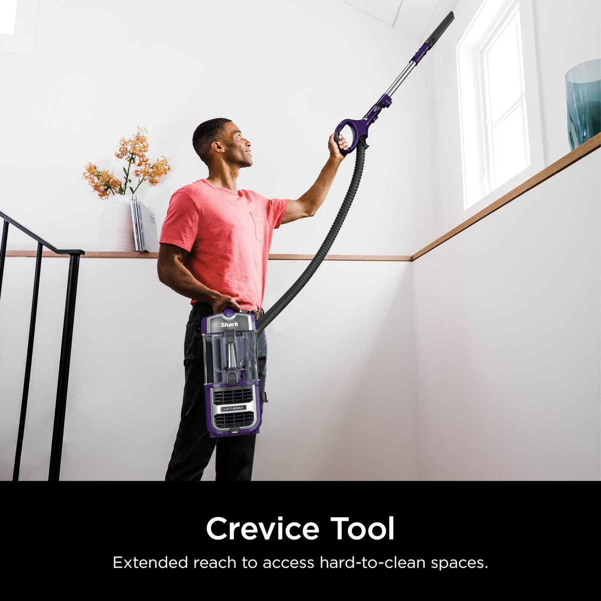 Upright Vacuum D80695