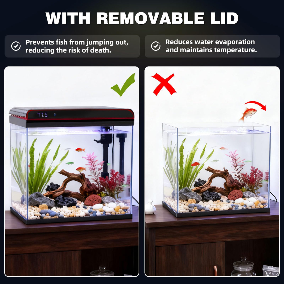 10 Gallon Glass Fish Tank Aquarium Starter Kit Z961620