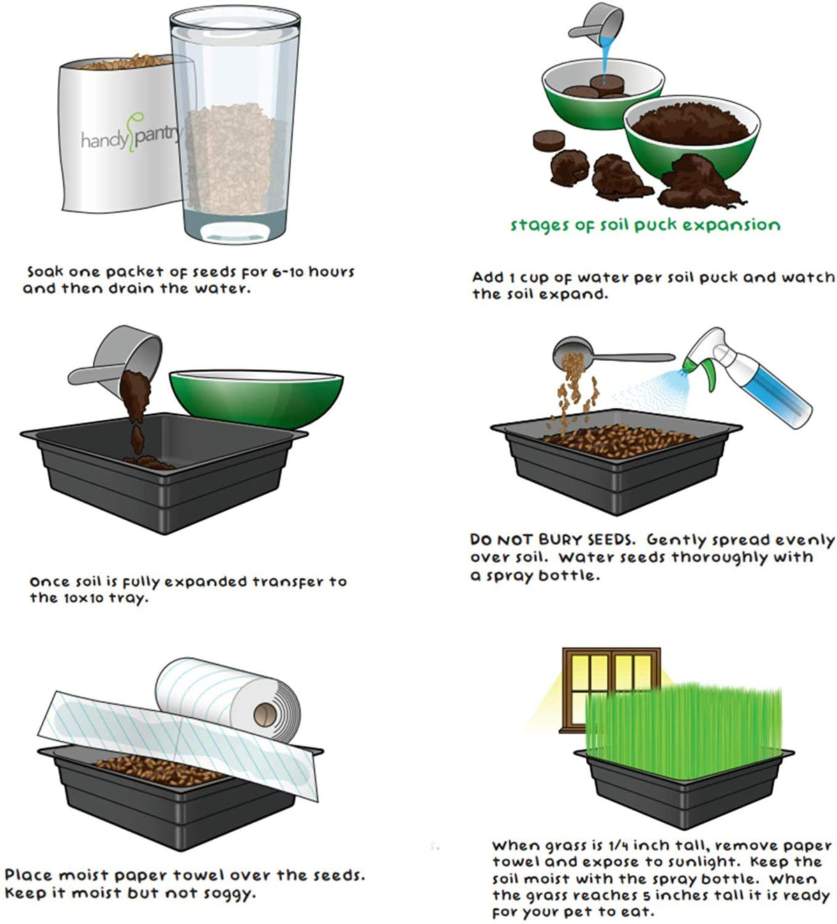 Organic Cat Grass Kit with Tray and Wheatgrass Seed U101
