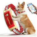 Red Wireless Electric GPS Dog Collar R3358