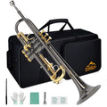 Bb Trumpet Set with Carrying Case, Gloves, 7C Mouthpiece, Tuning Rod, Black Nickel O916990