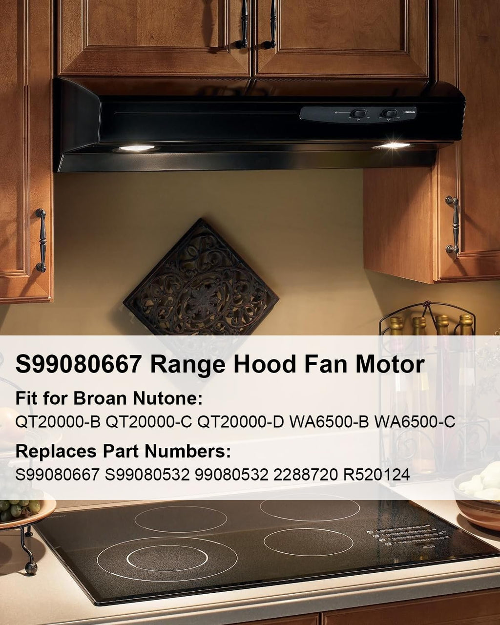 Fan Motor for Range Hood F9199