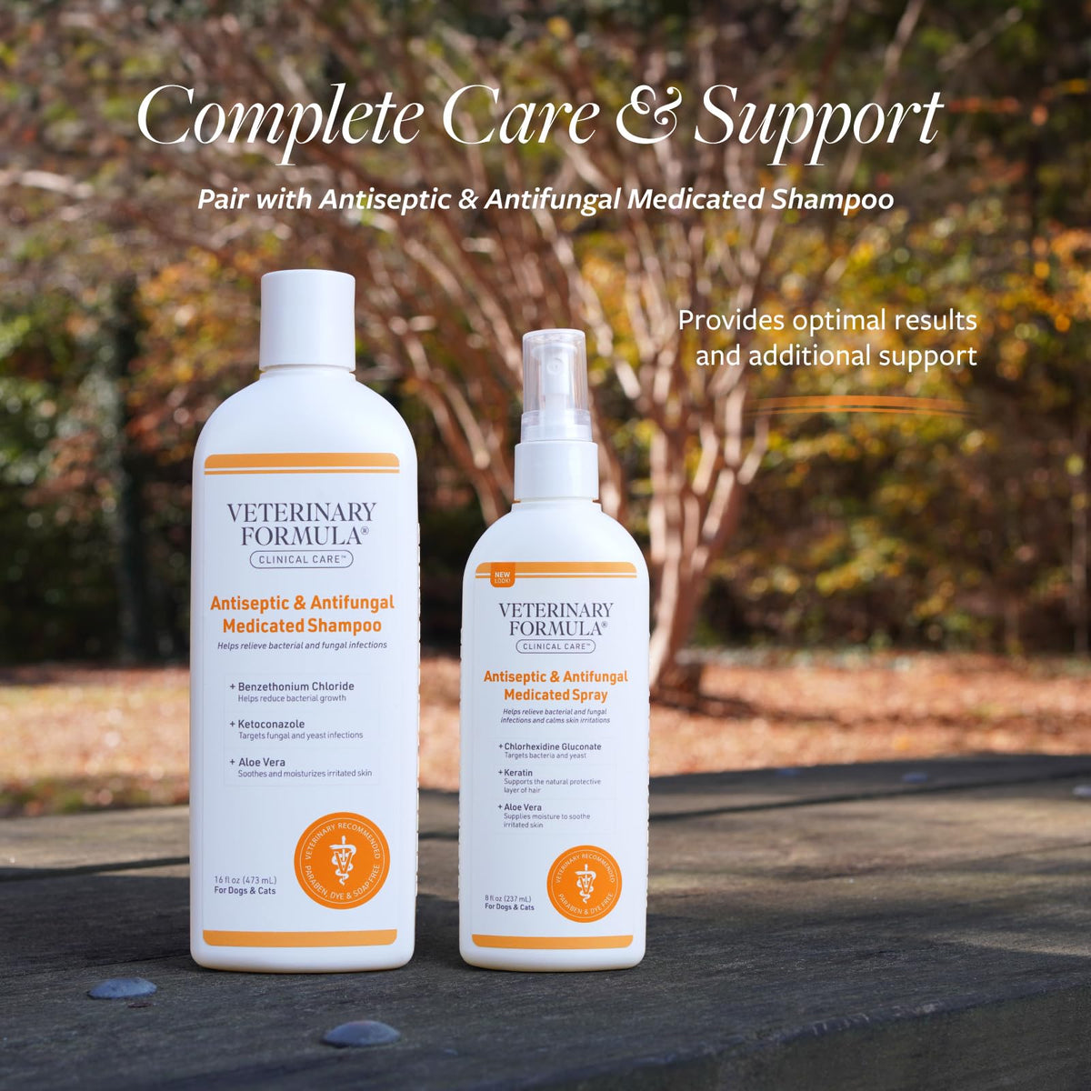 Antiseptic & Antifungal Shampoo, 16 oz T331768