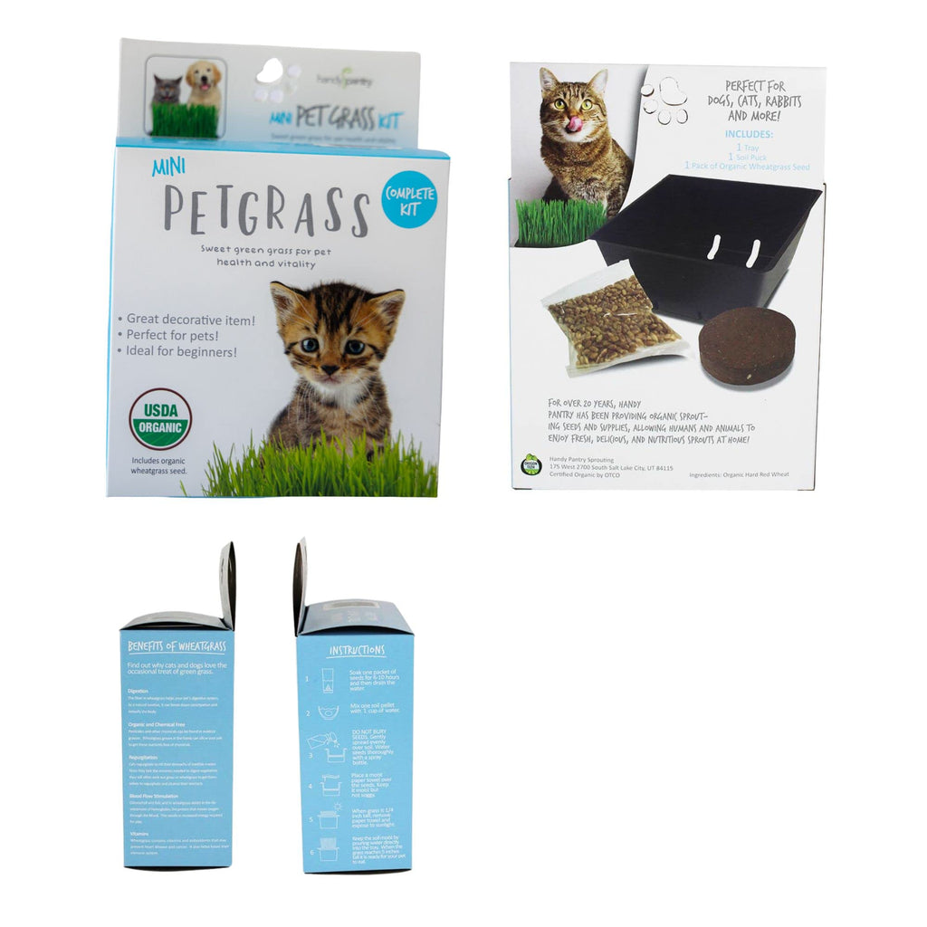 Organic Cat Grass Kit with Tray and Wheatgrass Seed U101