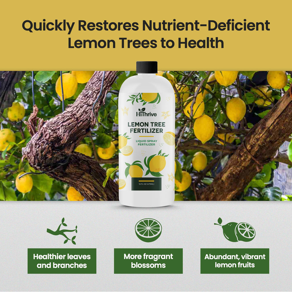 16oz 4-3-6 Liquid Fertilizer D92401