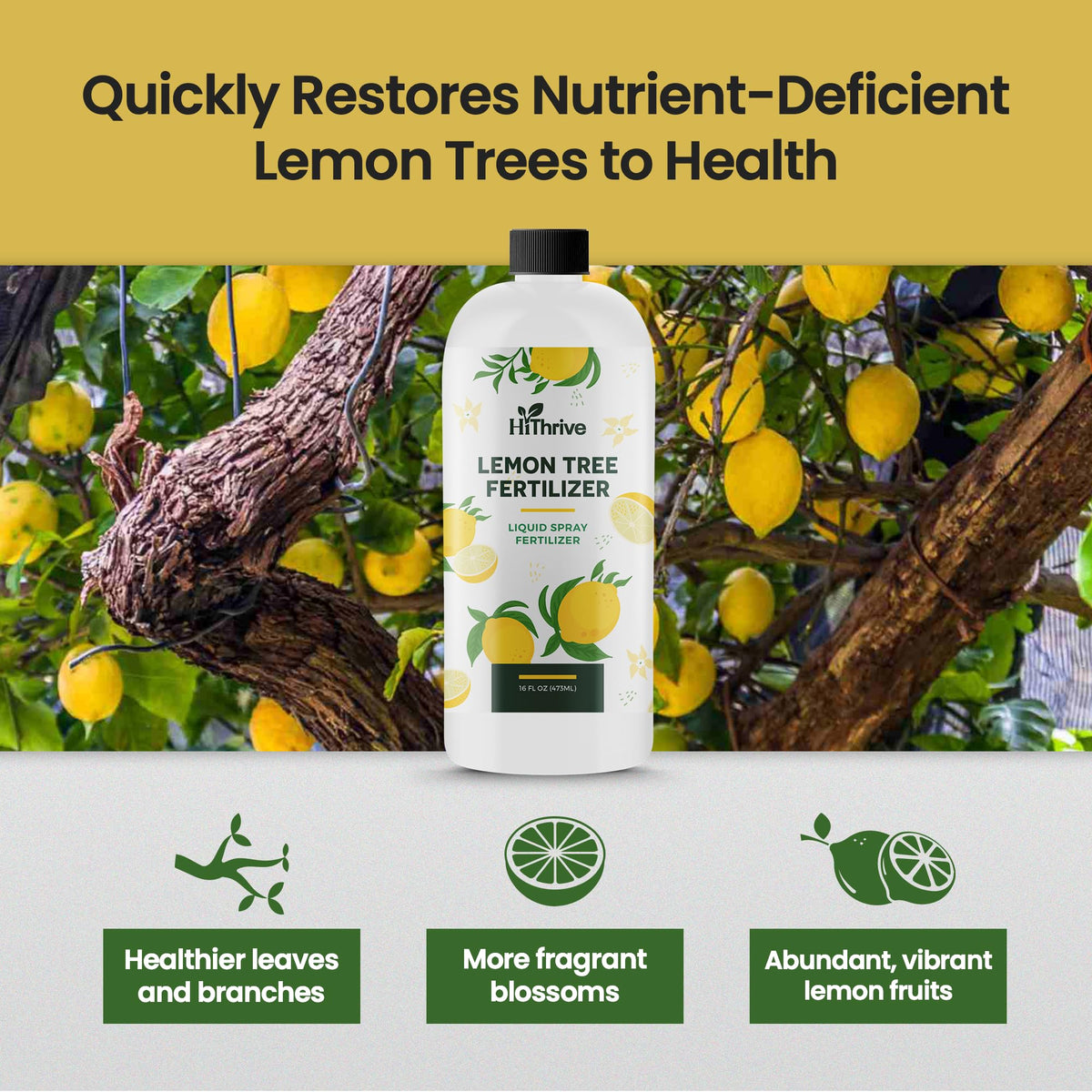 16oz 4-3-6 Liquid Fertilizer D92401