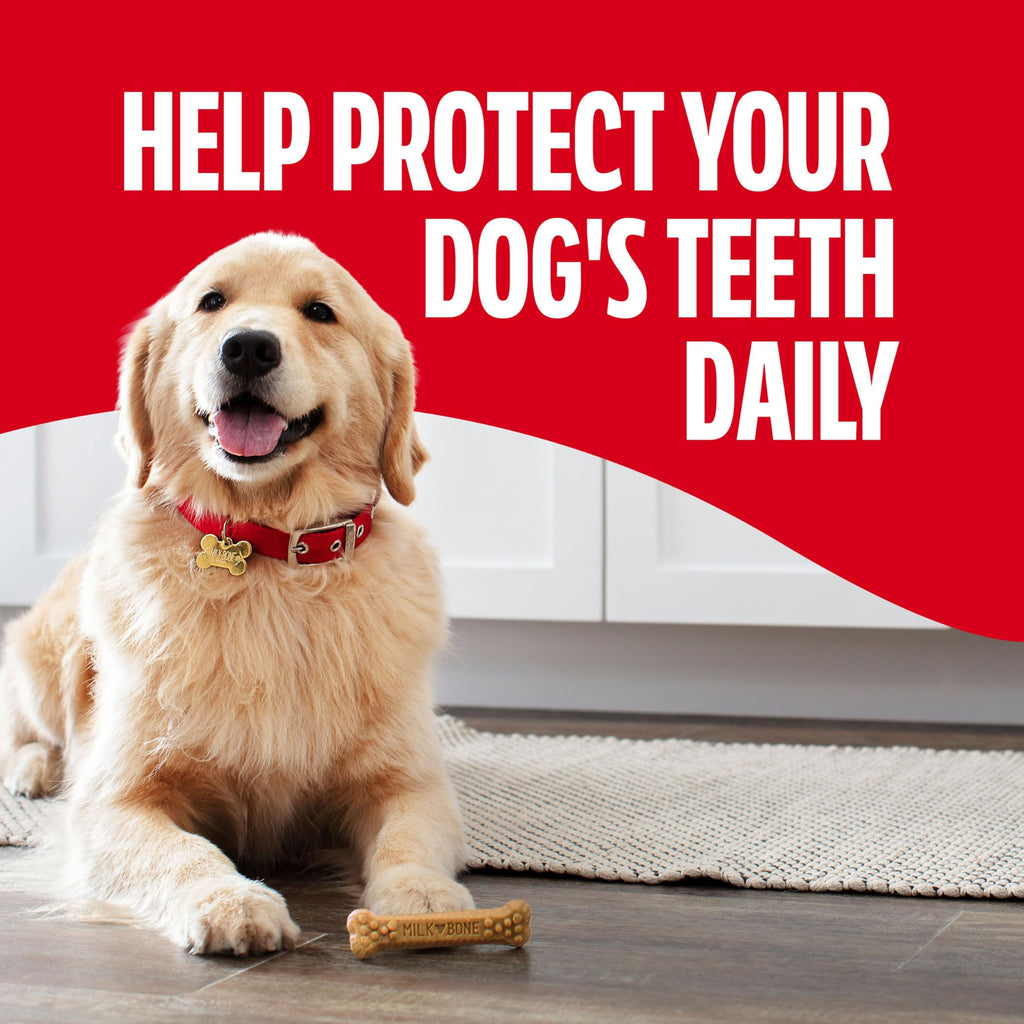 Large Daily Dental Dog Chews 33.7 oz Bag S4457