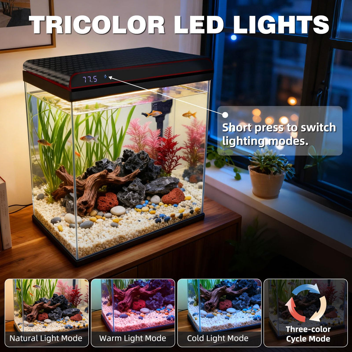 10 Gallon Glass Fish Tank Aquarium Starter Kit Z961620