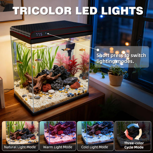 10 Gallon Glass Fish Tank Aquarium Starter Kit Z961620