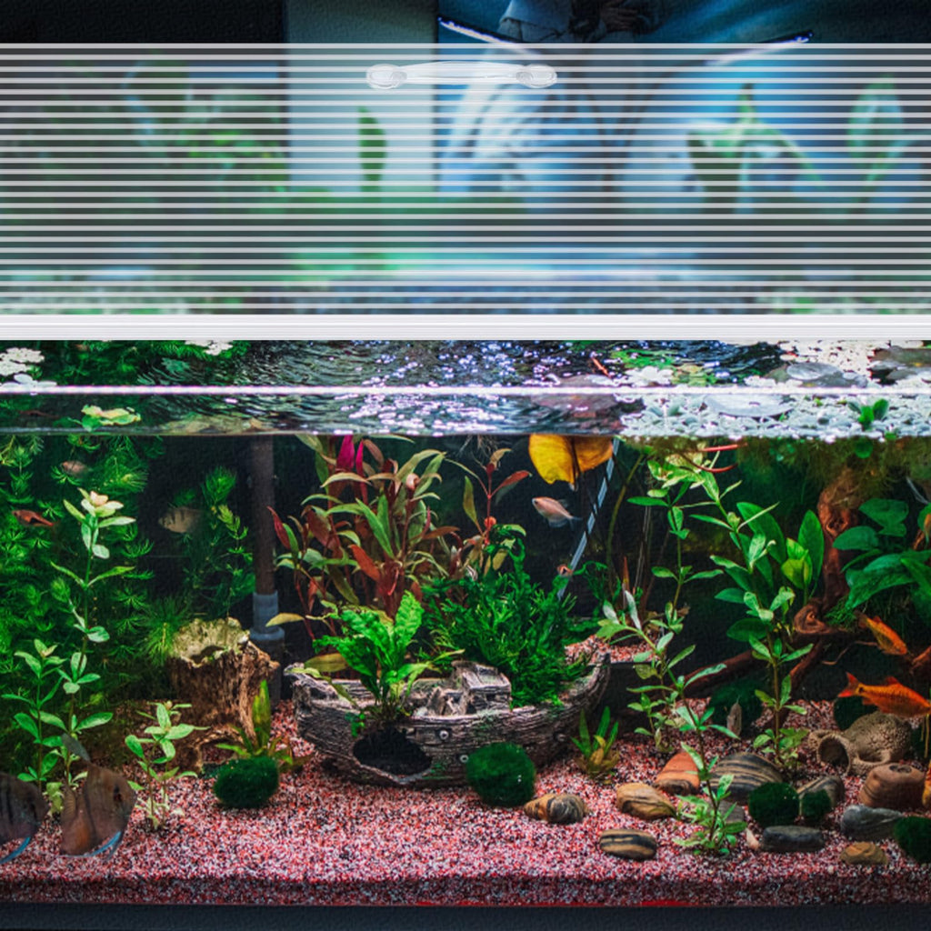 Clear 16 x 8 Inch Aquarium Lids Canopy Set P222