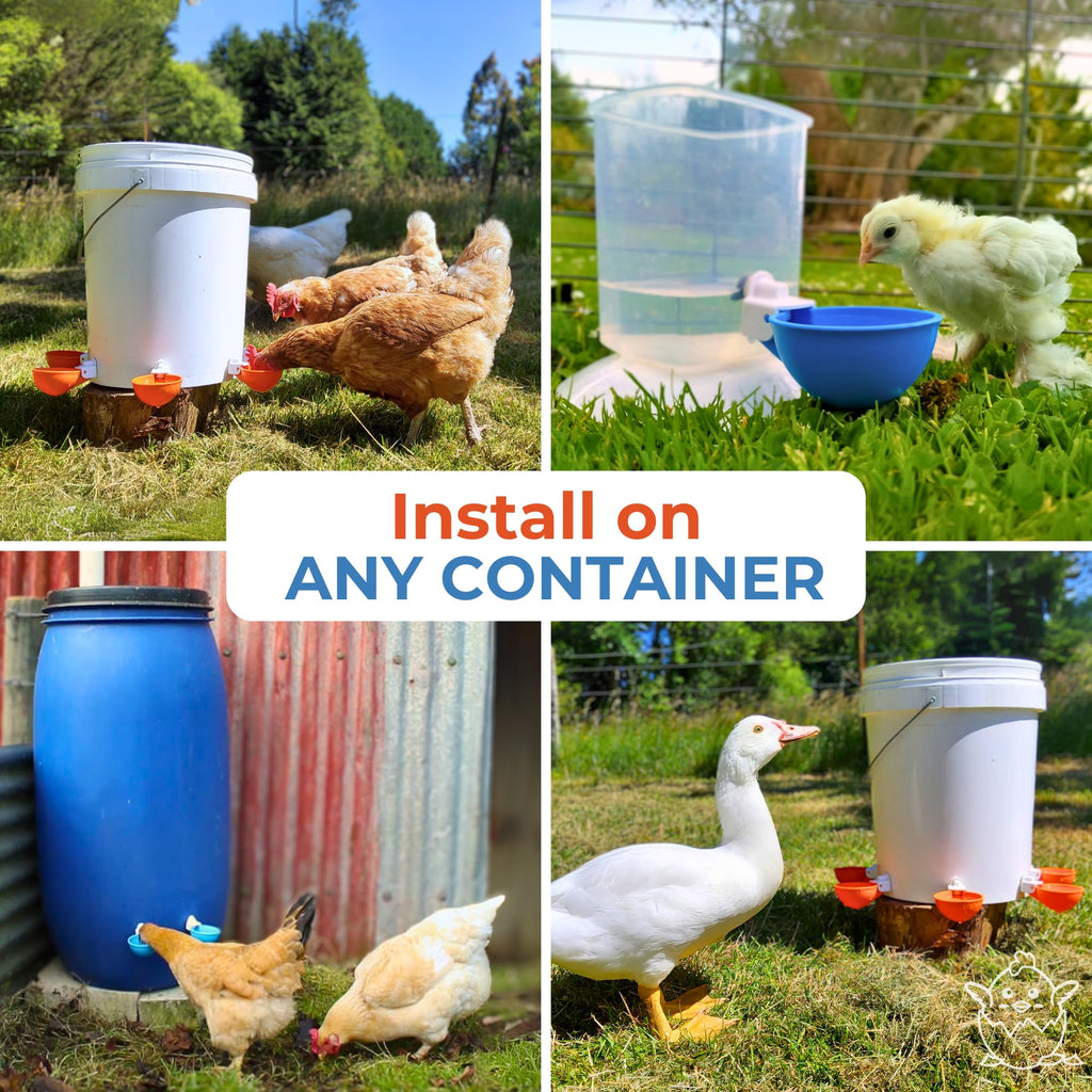 Blue Large Automatic Chicken Waterer Cups Pack of 5 H607596