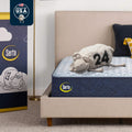 Medium 12" Full Hybrid Mattress L2217