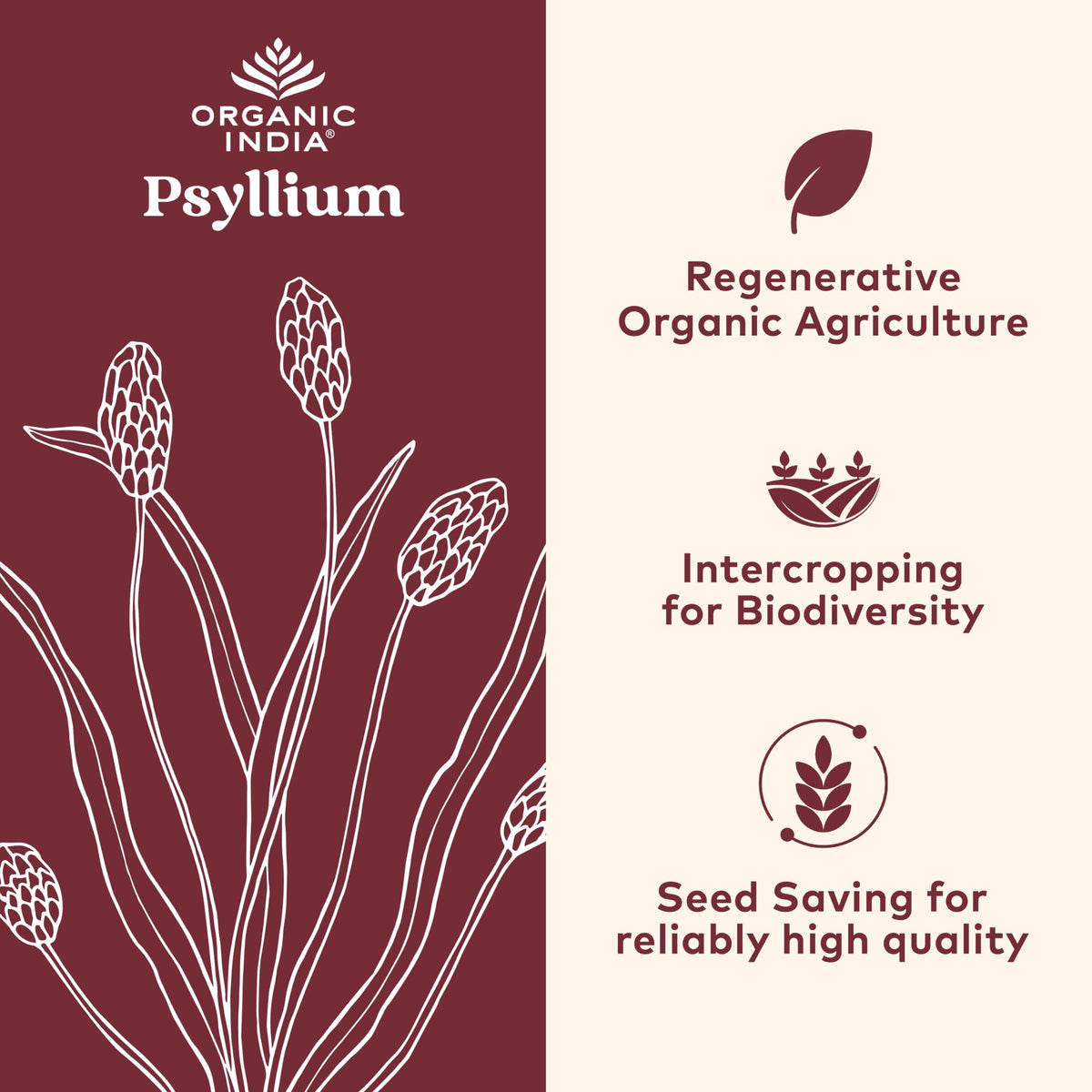 Psyllium Husk Capsules Fiber Supplement Vegan 180 Count V6499