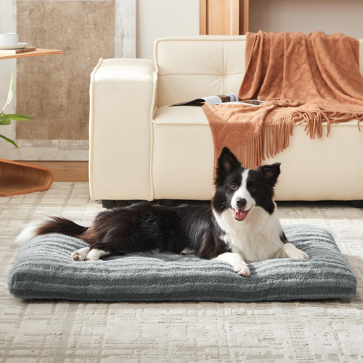 Washable Dog Bed G3615