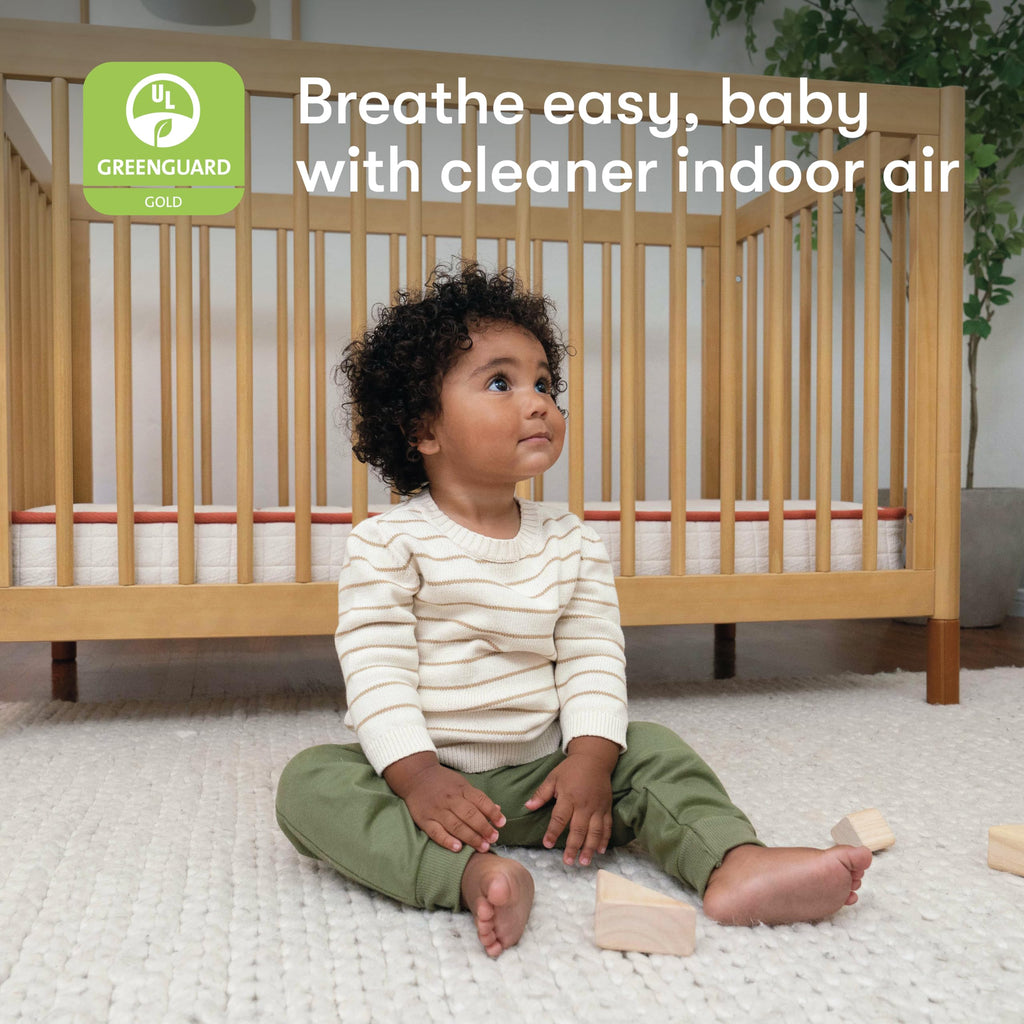 Organic Crib Mattress V580