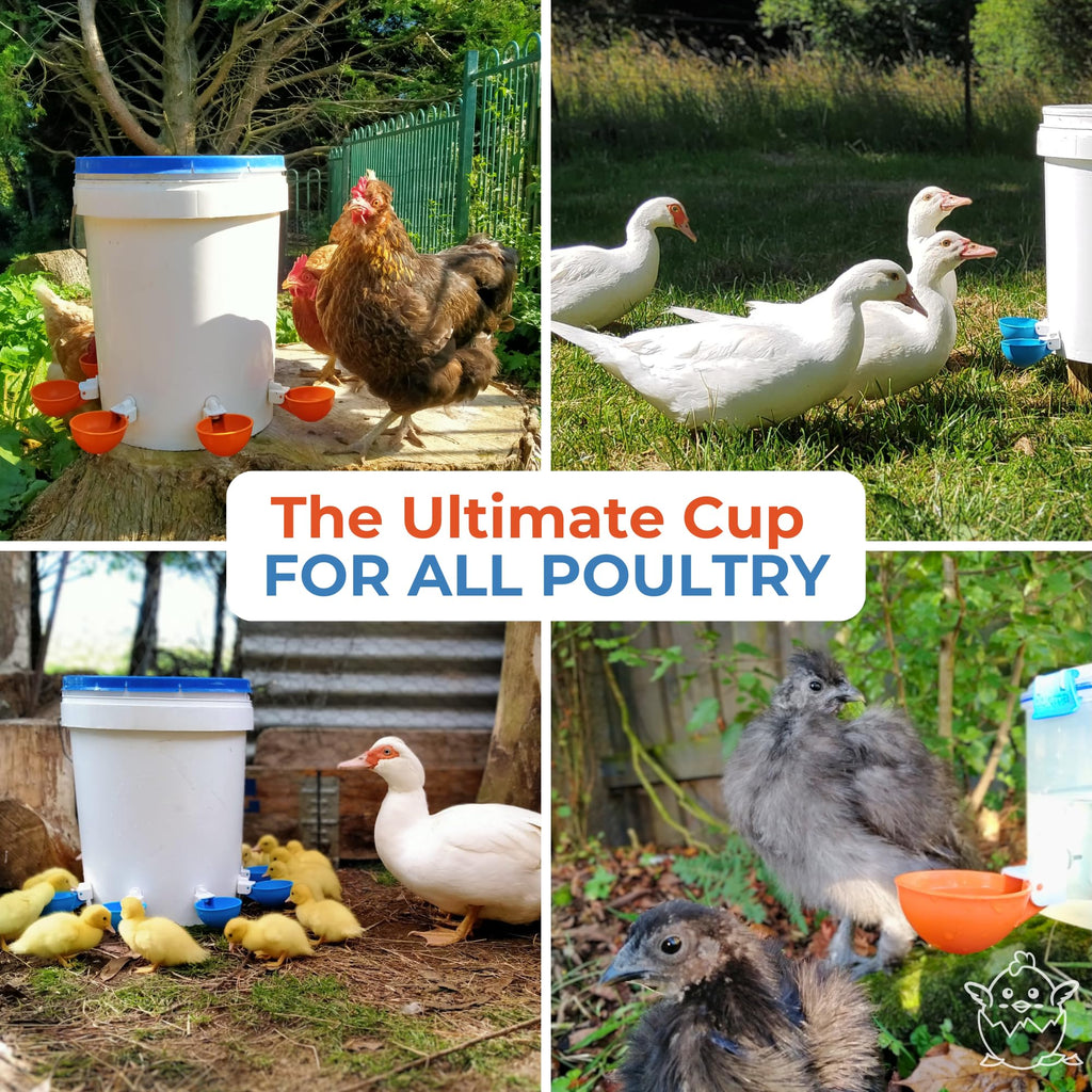 Blue Large Automatic Chicken Waterer Cups Pack of 5 H607596